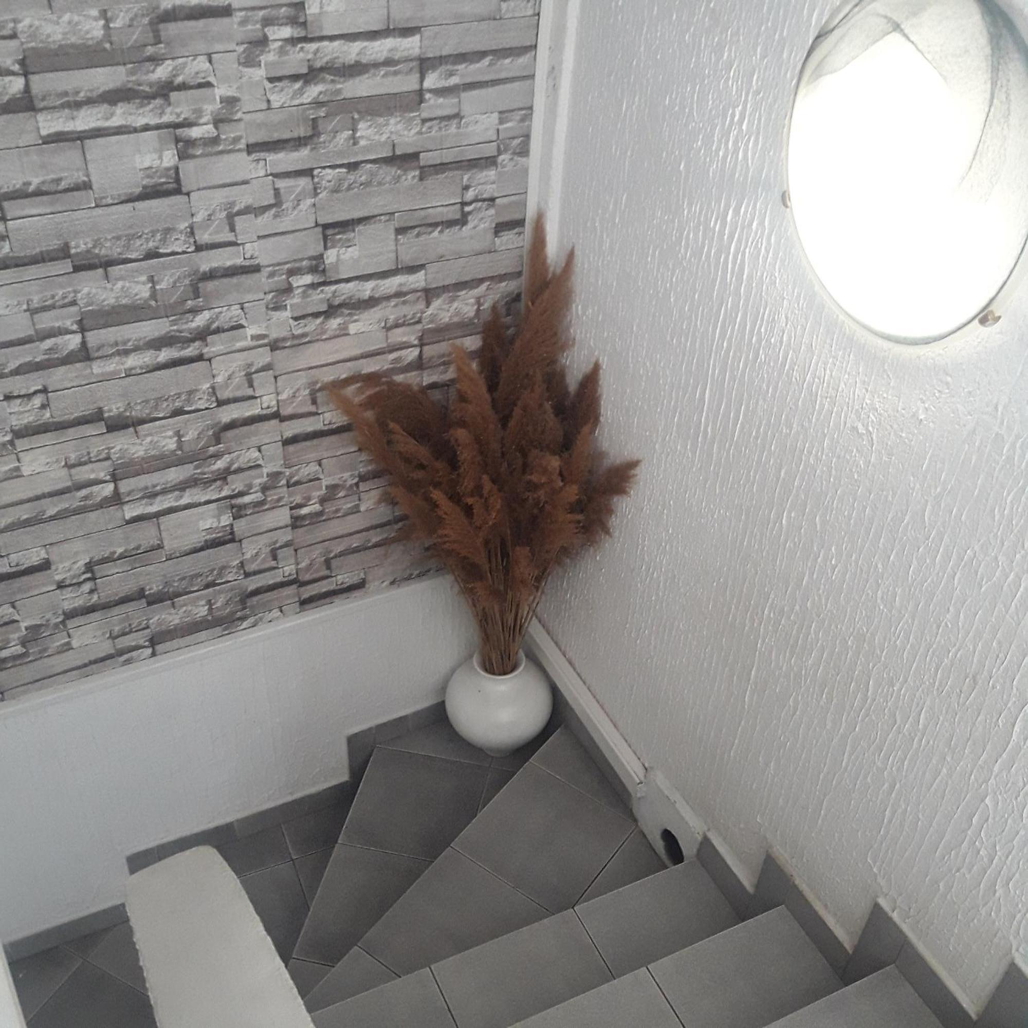 Apartmani Nis Exterior photo